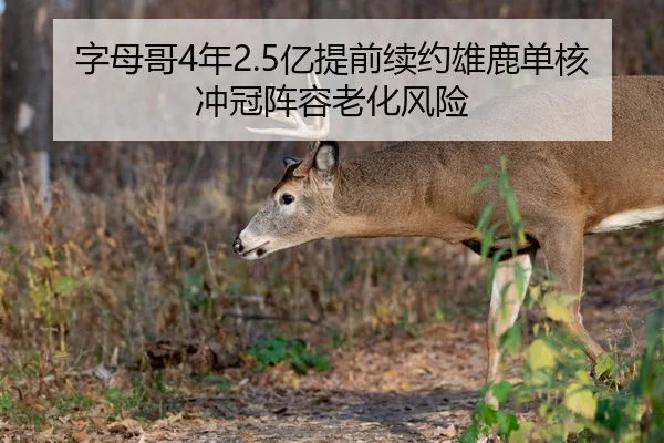 字母哥4年2.5亿提前续约雄鹿单核冲冠阵容老化风险
