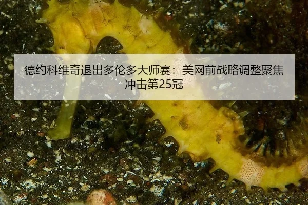 de-yue-ke-wei-qi-tui-chu-duo-lun-duo-da-shi-sai-mei-wang-qian-zhan-lve-tiao-zheng-ju-jiao-chong-ji-di-guan-3-592.jpg